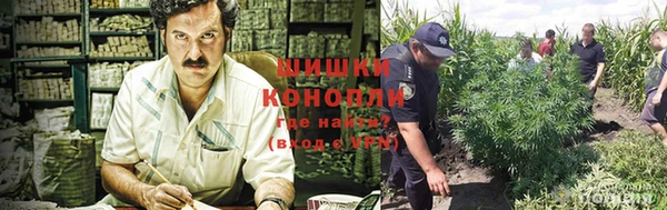 тгк Осташков