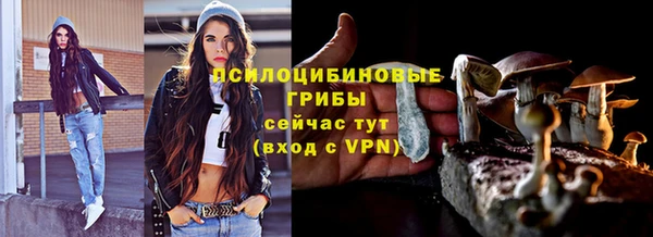 2c-b Алексеевка
