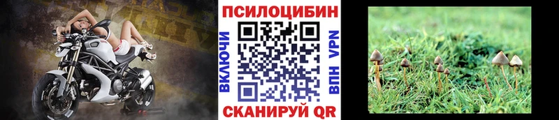 Галлюциногенные грибы Magic Shrooms  Сосенский 