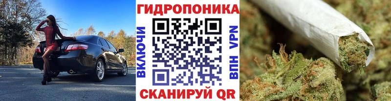 хочу наркоту  Сосенский  гидра как войти  Канабис ГИДРОПОН 